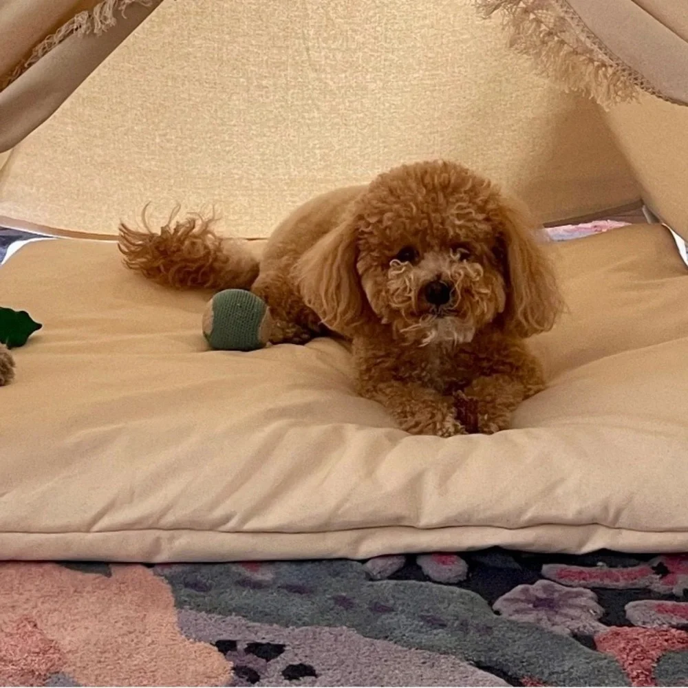 Pet Aztec Canvas Teepee Tent